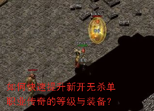 如何快速提升新开无杀单职业传奇的等级与装备? 如何快速提升新开无杀单职业传奇的等级与装备?