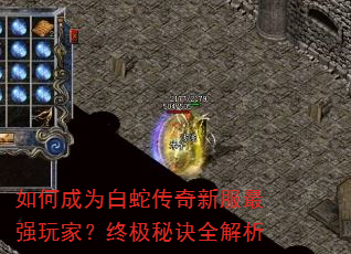 如何成为白蛇传奇新服最强玩家?终极秘诀全解析 如何成为白蛇传奇新服最强玩家?终极秘诀全解析