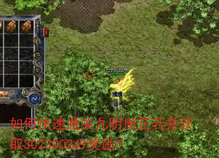 如何快速通关九阴周芷若并获取302300249奖励? 如何快速通关九阴周芷若并获取302300249奖励?
