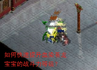 如何快速提升血染苍龙宝宝的战斗力等级? 如何快速提升血染苍龙宝宝的战斗力等级?
