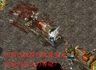 如何快速提升血染苍龙宝宝的战斗力等级? 如何快速提升血染苍龙宝宝的战斗力等级?