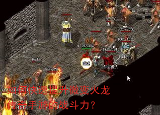 如何快速提升微变火龙传奇手游的战斗力? 如何快速提升微变火龙传奇手游的战斗力?