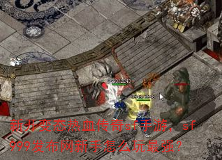 新开变态热血传奇sf手游,sf999发布网新手怎么玩最强? 新开变态热血传奇sf手游,sf999发布网新手怎么玩最强?