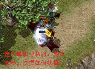 迷失单职业私服:游戏节奏,快慢如何抉择? 迷失单职业私服:游戏节奏,快慢如何抉择?