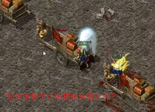 如何用禁灵之瓶捕获天雷之兆? 如何用禁灵之瓶捕获天雷之兆?