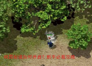 桃园秘境如何开启?新手必看攻略 桃园秘境如何开启?新手必看攻略