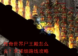传奇世界尸王殿怎么去?求详细路线攻略 传奇世界尸王殿怎么去?求详细路线攻略