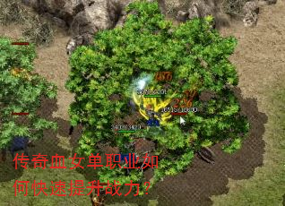 传奇血女单职业如何快速提升战力? 传奇血女单职业如何快速提升战力?