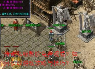传奇私服影院免费观看?如何获取游戏攻略与技巧? 传奇私服影院免费观看?如何获取游戏攻略与技巧?