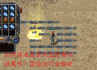 如何精准鉴定热血传奇项链属性?顶级技巧全解析 如何精准鉴定热血传奇项链属性?顶级技巧全解析