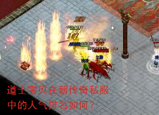 道士宝贝在新传奇私服中的人气排名如何? 道士宝贝在新传奇私服中的人气排名如何?