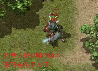 传奇单职业哪个版本最适合新手入门? 传奇单职业哪个版本最适合新手入门?