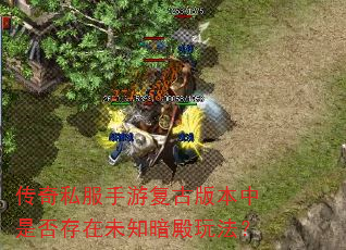 传奇私服手游复古版本中是否存在未知暗殿玩法? 传奇私服手游复古版本中是否存在未知暗殿玩法?