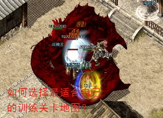 如何选择最适合自己的训练关卡地图? 如何选择最适合自己的训练关卡地图?