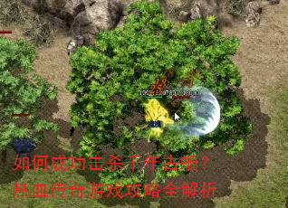 如何成功击杀千年古蟾?热血传奇游戏攻略全解析 如何成功击杀千年古蟾?热血传奇游戏攻略全解析