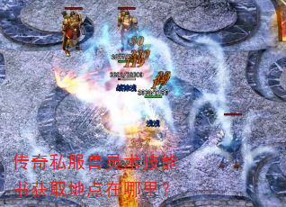 传奇私服兽灵术技能书获取地点在哪里? 传奇私服兽灵术技能书获取地点在哪里?