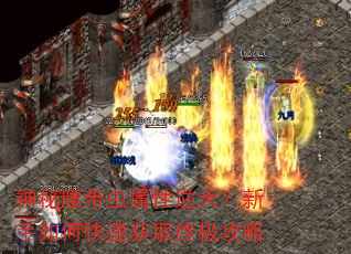 神秘腰带虫属性逆天?新手如何快速获取终极攻略 神秘腰带虫属性逆天?新手如何快速获取终极攻略