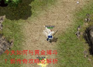 今天如何与黄金搏斗?新传奇攻略全解析 今天如何与黄金搏斗?新传奇攻略全解析