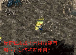 传奇私服战士常用技能有哪些?如何搭配使用? 传奇私服战士常用技能有哪些?如何搭配使用?