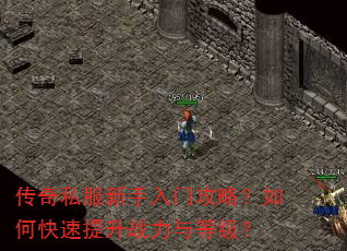 传奇私服新手入门攻略?如何快速提升战力与等级? 传奇私服新手入门攻略?如何快速提升战力与等级?
