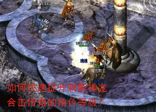 如何快速提升刺影神龙合击传奇的角色等级? 如何快速提升刺影神龙合击传奇的角色等级?