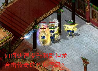 如何快速提升刺影神龙合击传奇的角色等级? 如何快速提升刺影神龙合击传奇的角色等级?