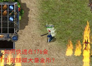 如何快速在176金币服赚取大量金币? 如何快速在176金币服赚取大量金币?