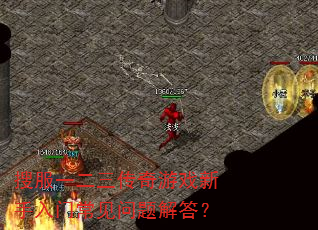 搜服一二三传奇游戏新手入门常见问题解答? 搜服一二三传奇游戏新手入门常见问题解答?
