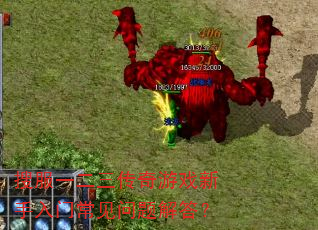 搜服一二三传奇游戏新手入门常见问题解答? 搜服一二三传奇游戏新手入门常见问题解答?