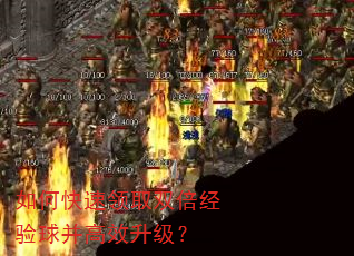 如何快速领取双倍经验球并高效升级? 如何快速领取双倍经验球并高效升级?
