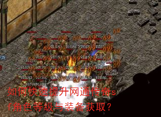 如何快速提升网通传奇sf角色等级与装备获取? 如何快速提升网通传奇sf角色等级与装备获取?