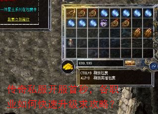 传奇私服开服首秒,各职业如何快速升级求攻略? 传奇私服开服首秒,各职业如何快速升级求攻略?