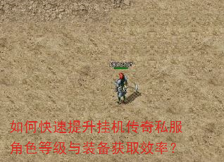 如何快速提升挂机传奇私服角色等级与装备获取效率? 如何快速提升挂机传奇私服角色等级与装备获取效率?