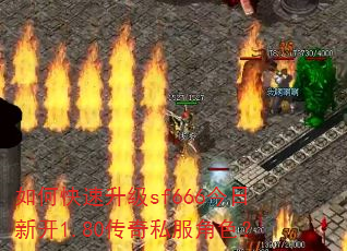 ��ο�������sf666�����¿�1.80����˽����ɫ��