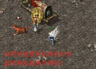 如何快速提升航海世纪热血传奇私服角色等级? 如何快速提升航海世纪热血传奇私服角色等级?