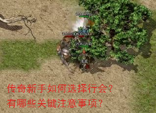 传奇新手如何选择行会?有哪些关键注意事项? 传奇新手如何选择行会?有哪些关键注意事项?