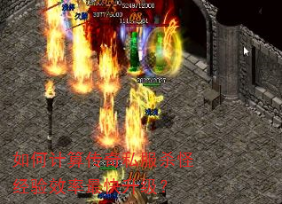 如何计算传奇私服杀怪经验效率最快升级? 如何计算传奇私服杀怪经验效率最快升级?