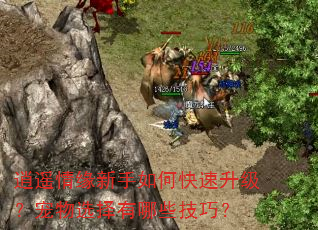 逍遥情缘新手如何快速升级?宠物选择有哪些技巧? 逍遥情缘新手如何快速升级?宠物选择有哪些技巧?