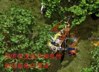 如何快速提升神鬼传奇私服角色等级? 如何快速提升神鬼传奇私服角色等级?