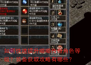 如何快速提升嘟嘟传奇角色等级?装备获取攻略有哪些? 如何快速提升嘟嘟传奇角色等级?装备获取攻略有哪些?