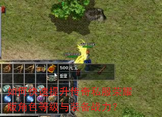 如何快速提升传奇私服荣耀版角色等级与装备战力? 如何快速提升传奇私服荣耀版角色等级与装备战力?