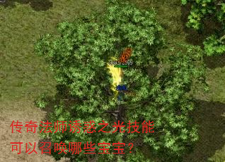 传奇法师诱惑之光技能可以召唤哪些宝宝? 传奇法师诱惑之光技能可以召唤哪些宝宝?