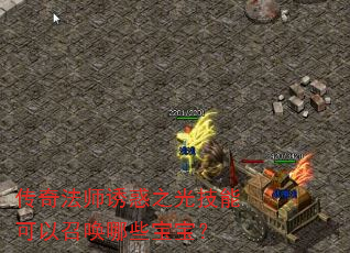 传奇法师诱惑之光技能可以召唤哪些宝宝? 传奇法师诱惑之光技能可以召唤哪些宝宝?