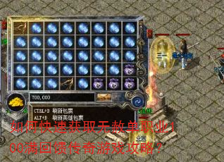 如何快速获取无赦单职业100满回馈传奇游戏攻略? 如何快速获取无赦单职业100满回馈传奇游戏攻略?