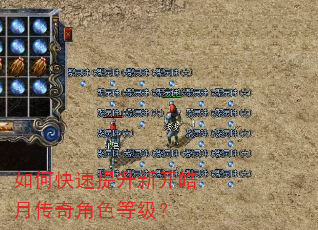 如何快速提升新开皓月传奇角色等级? 如何快速提升新开皓月传奇角色等级?