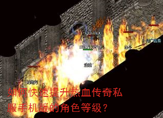 如何快速提升热血传奇私服手机版的角色等级? 如何快速提升热血传奇私服手机版的角色等级?