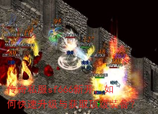 ����˽��sf666�¿�����ο����������ȡ����װ����