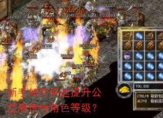 新手如何快速提升公益服传奇角色等级? 新手如何快速提升公益服传奇角色等级?