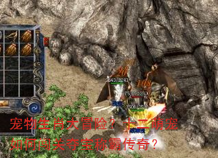 宠物生肖大冒险?十二萌宠如何闯关夺宝称霸传奇? 宠物生肖大冒险?十二萌宠如何闯关夺宝称霸传奇?