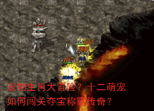 宠物生肖大冒险?十二萌宠如何闯关夺宝称霸传奇? 宠物生肖大冒险?十二萌宠如何闯关夺宝称霸传奇?